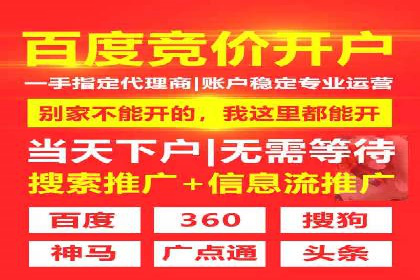 SEM托管服务助力电商平台流量翻倍的秘诀